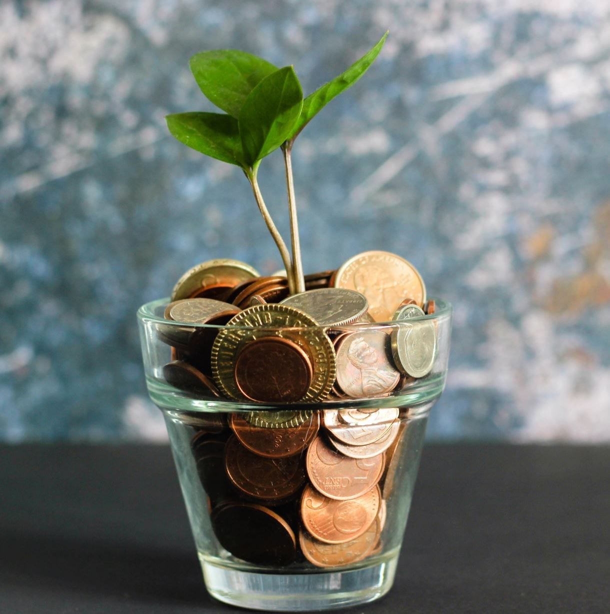 Swiss politics and foreign aid - GSA